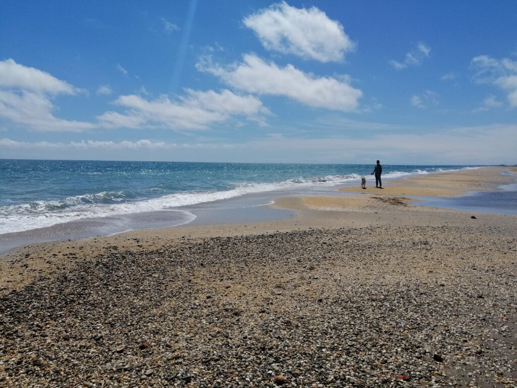 Plage Jalabet, Sète, chiens permis toute l'année